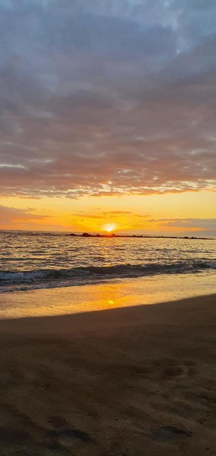 ארונה Vistasalsol Tenerife מראה חיצוני תמונה